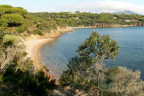 Isola d'Elba - Appartamenti Le Querce - Capoliveri - Spiaggia Ferrato