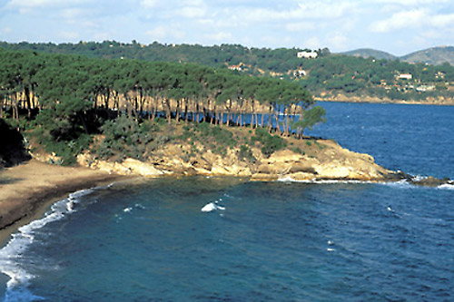 Isola d'Elba - Appartamenti Le Querce - Capoliveri - Spiaggia di Istia