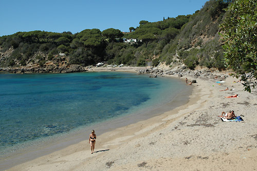 Isola d'Elba - Appartamenti Le Querce - Capoliveri - Spiaggia di Zuccale